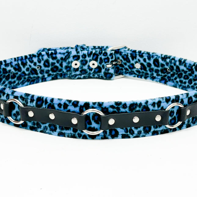 BT167L-BLUE LEOPARD RING STRAP BELT