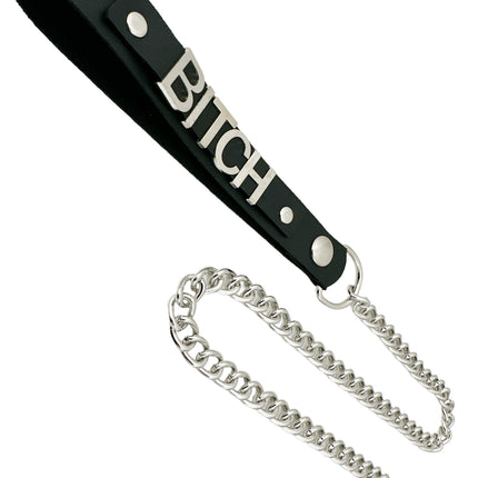 LS291REG-30  NAME LEASH REGULAR CHAIN 30"