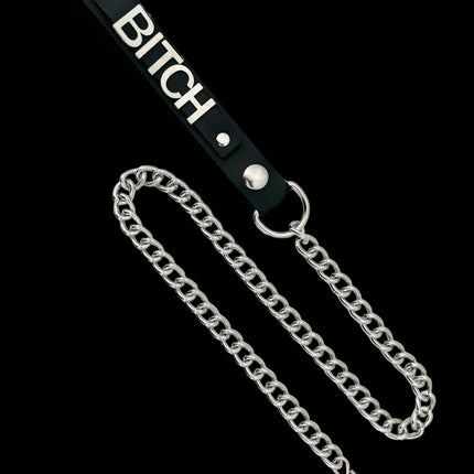 LS291REG-30  NAME LEASH REGULAR CHAIN 30"