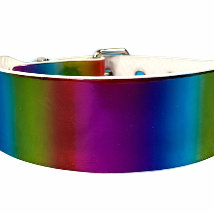 CK100 PLAIN RAINBOW CHOKER