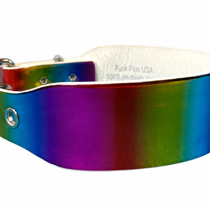 CK100 PLAIN RAINBOW CHOKER
