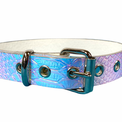 CK100 PLAIN RAINBOW CHOKER