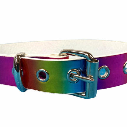 CK100 PLAIN RAINBOW CHOKER