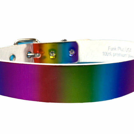 CK100 PLAIN RAINBOW CHOKER
