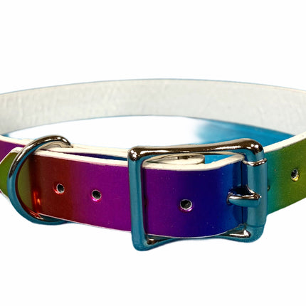 CK100 PLAIN RAINBOW CHOKER