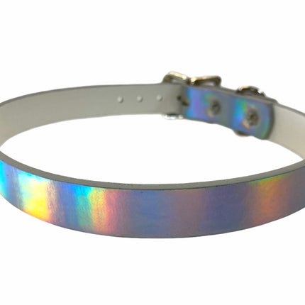 CK100 PLAIN RAINBOW CHOKER