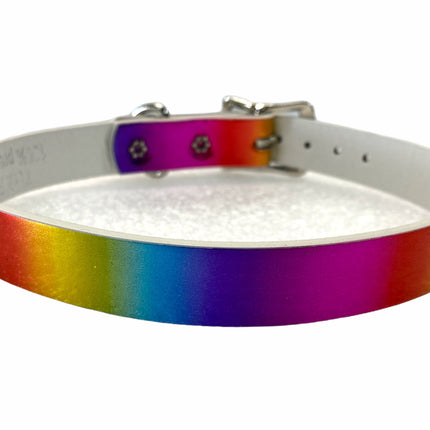 CK100 PLAIN RAINBOW CHOKER