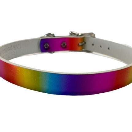 CK100 PLAIN RAINBOW CHOKER