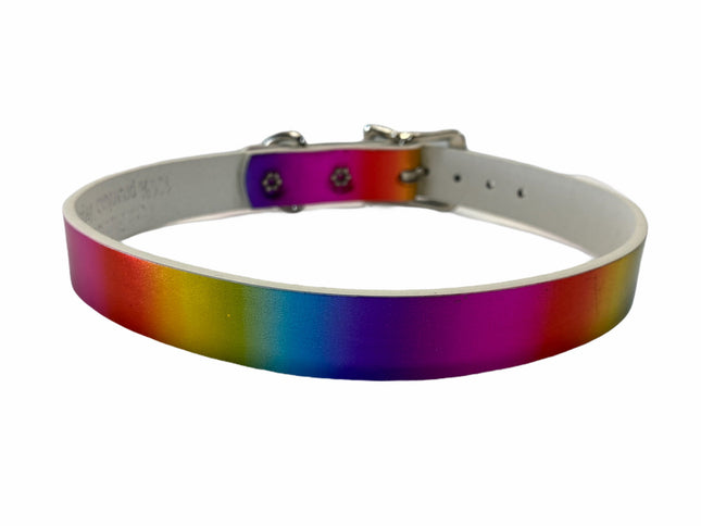 CK100 PLAIN RAINBOW CHOKER