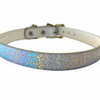 GLITTER / 1/2