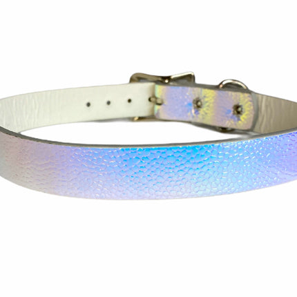CK100 PLAIN RAINBOW CHOKER