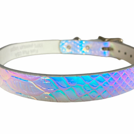 CK100 PLAIN RAINBOW CHOKER