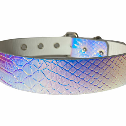 CK100 PLAIN RAINBOW CHOKER