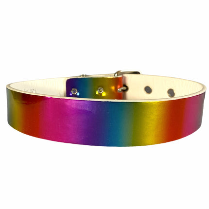 CK100 PLAIN RAINBOW CHOKER
