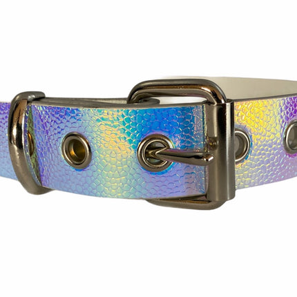 CK100 PLAIN RAINBOW CHOKER