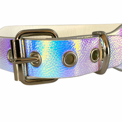 CK100 PLAIN RAINBOW CHOKER