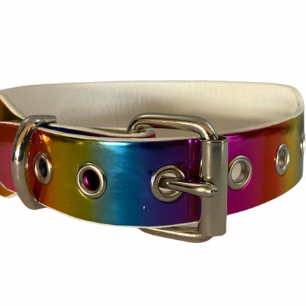CK100 PLAIN RAINBOW CHOKER