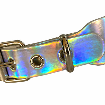 CK100 PLAIN RAINBOW CHOKER