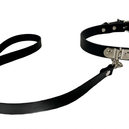 FC226  LEATHER LEASH COLLAR