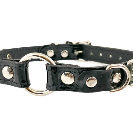 FC366 PATENT RING D RING CHOKER