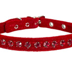 SIAM-RED