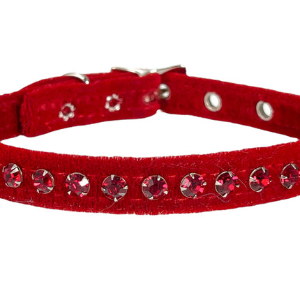 CK247 VELVET WITH MATCHING COLOR STONE
