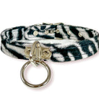 WHITE ZEBRA