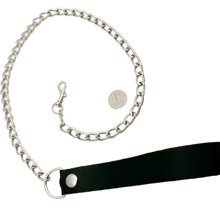 LEASH102-S SMALL 2" HOOK & 6" LEATHER HANDLE