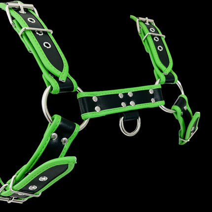 FH155D-KKY  VEGAN NEON STRIPE BULLDOG HARNESS