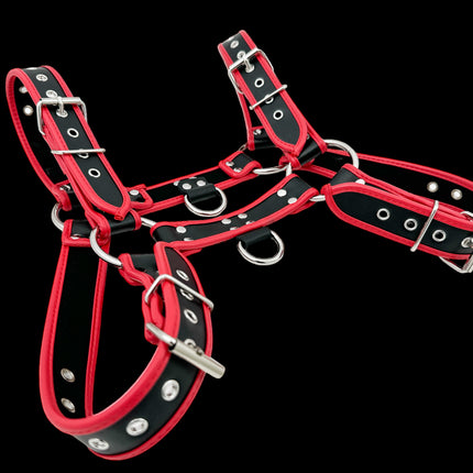 FH155D-KKY  VEGAN NEON STRIPE BULLDOG HARNESS