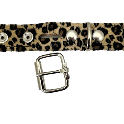 BT117L-BRN  2 ROW LEOPARD BROWN PYRAMID STUDDED  BELT