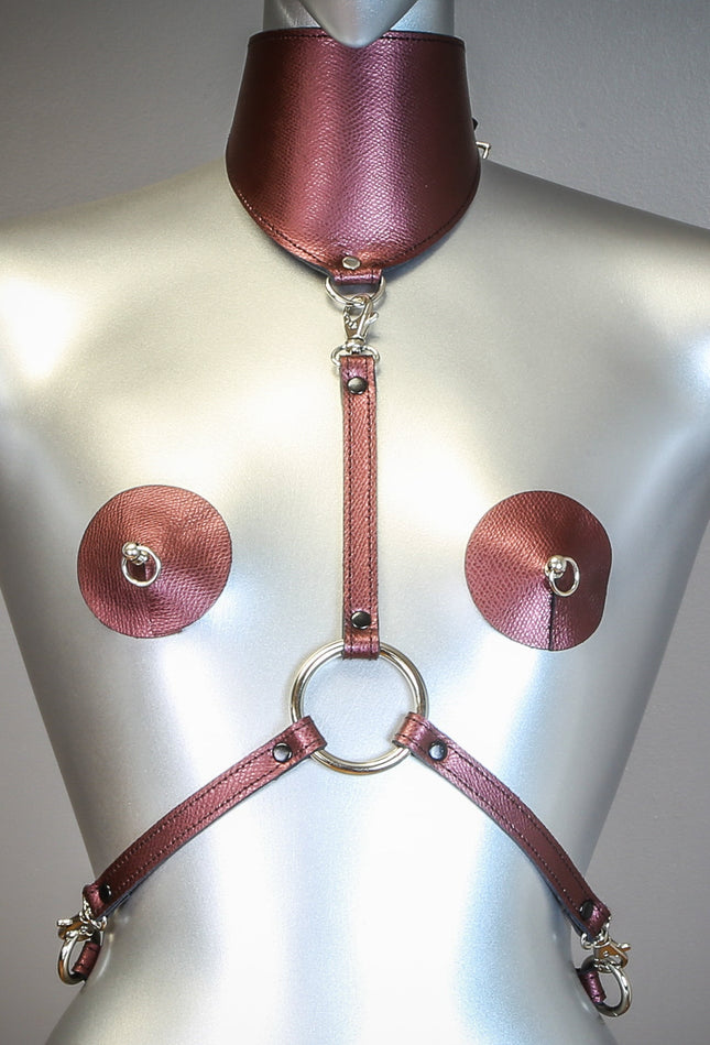 XH107G HARNESS WITH POSTURE GLITTER BURGUNDY