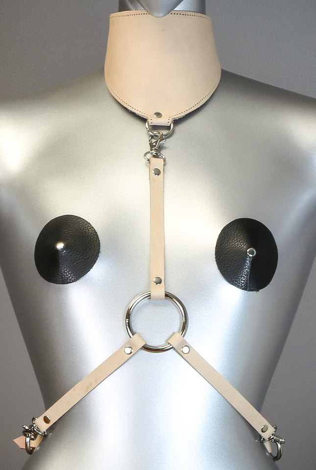 XH107L HARNESS WITH POSTURE COLLAR ASSORTED LEATHER