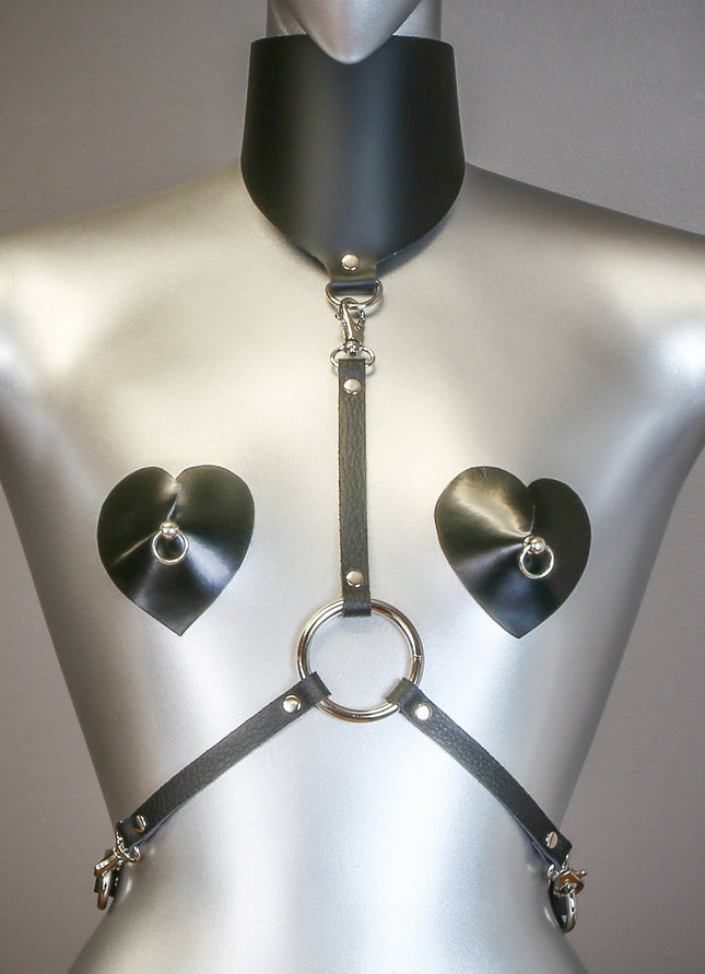 XH107L HARNESS WITH POSTURE COLLAR ASSORTED LEATHER