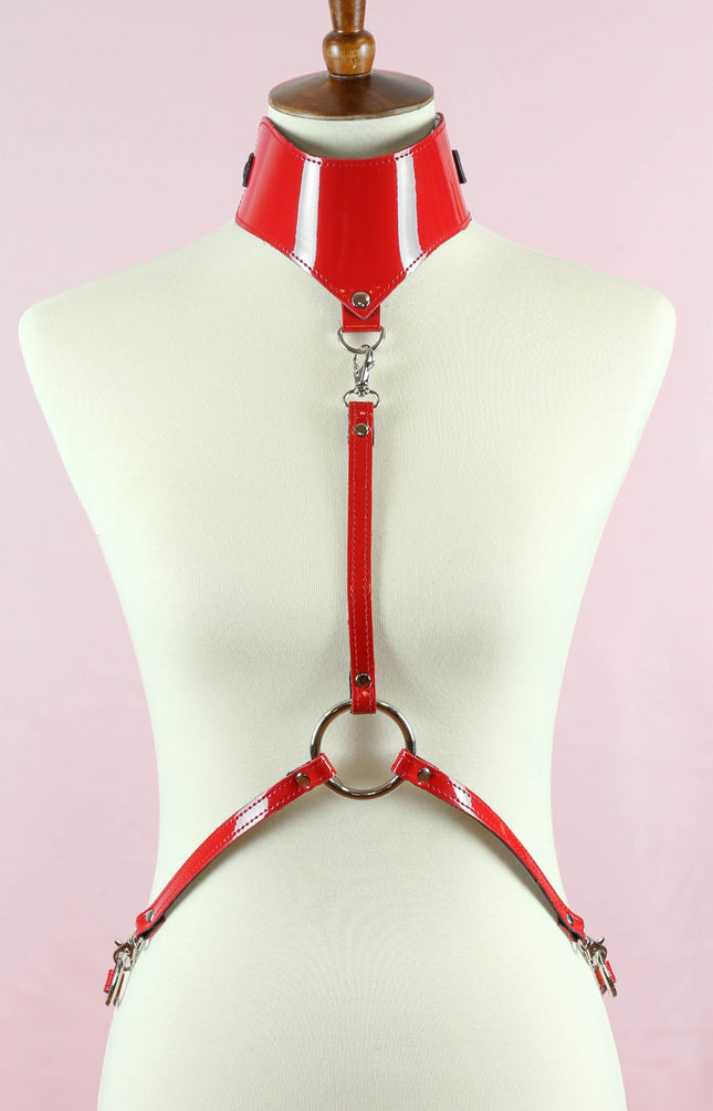 XH107P HARNESS WITH POSTURE COLLAR ASSORTED PATENT