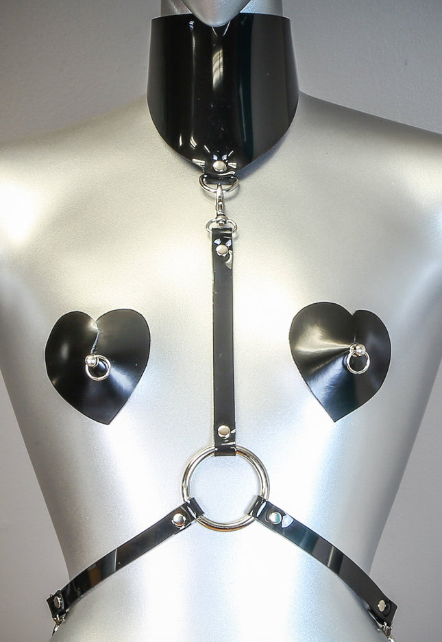 XH107VN HARNESS WITH POSTURE COLLAR ASSORTED VINYL