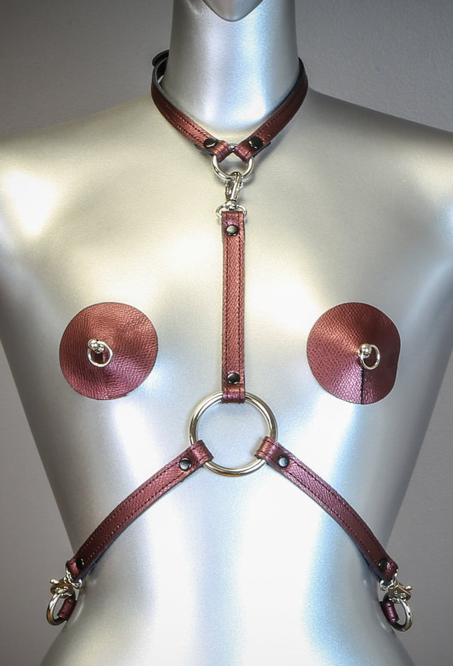 XH108G 3 CLASP HARNESS ASSORTED GLITTER