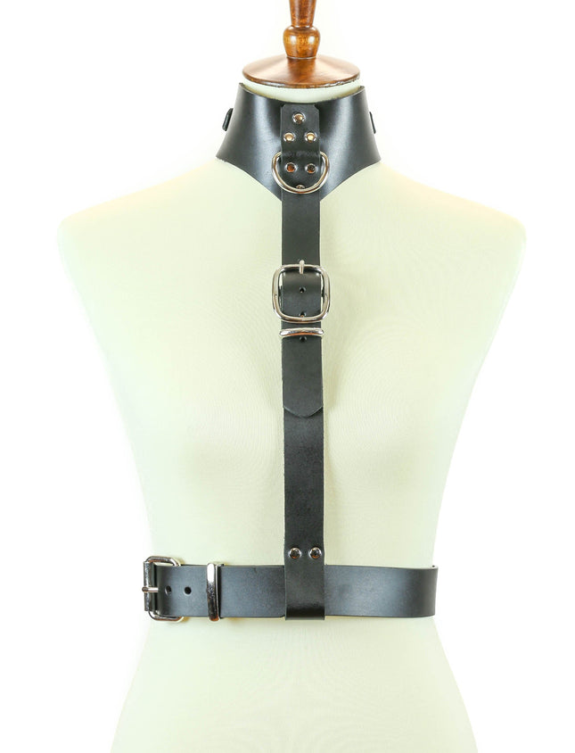 XH126L ASSORTED LEATHER COLLAR HARNESS WITH BUCKLE