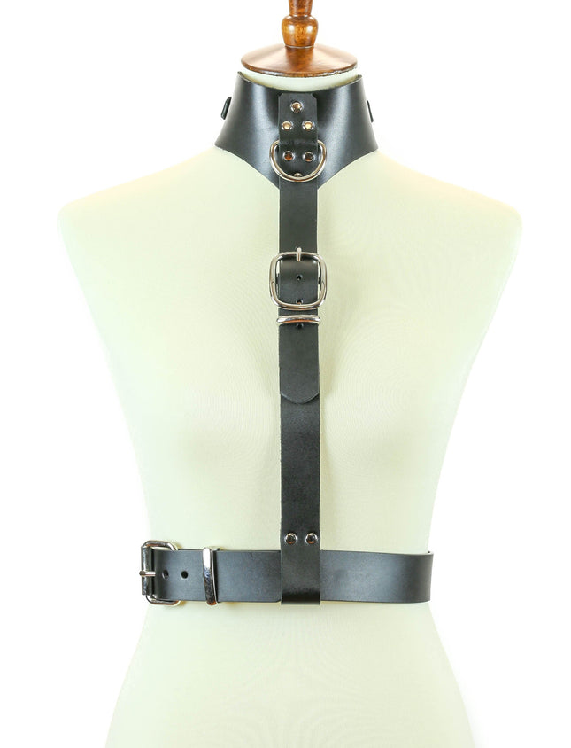 XH126L ASSORTED LEATHER COLLAR HARNESS WITH BUCKLE