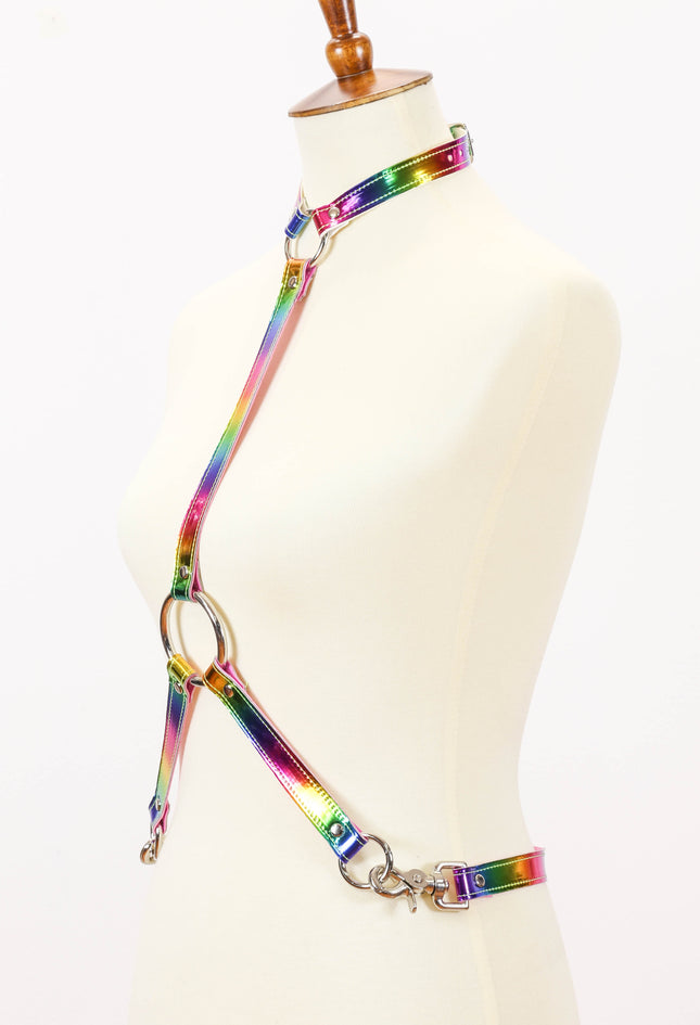 XH134RN ASSORTED RAINBOW HARNESS WITH COLLAR AND Y STYLE