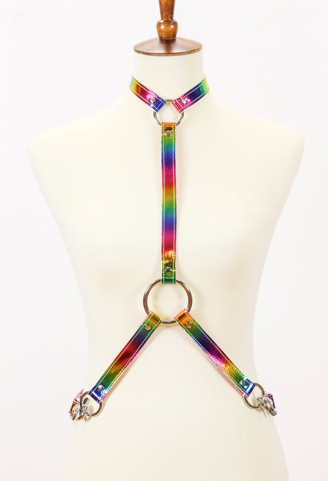 XH134RN ASSORTED RAINBOW HARNESS WITH COLLAR AND Y STYLE