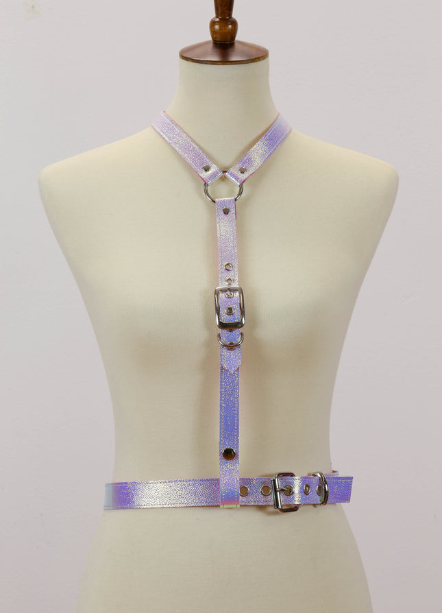 XH135RN ASSORTED RAINBOW BUCKLE VERTICAL Y HARNESS