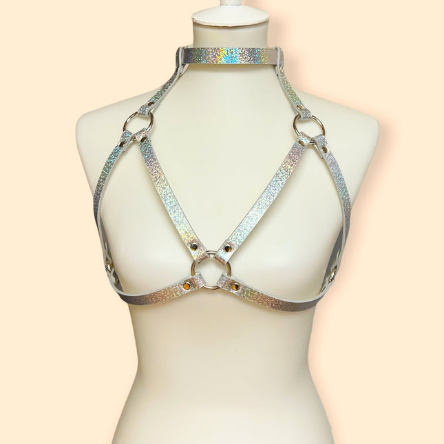 XH143 RAINBOW BRA HARNESS