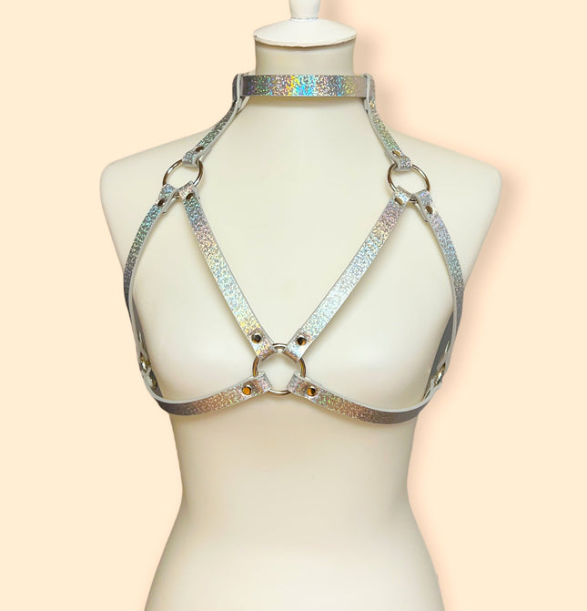 XH143 RAINBOW BRA HARNESS