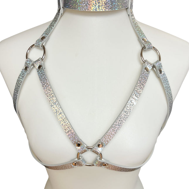 XH143 RAINBOW BRA HARNESS