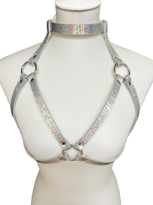 XH143 RAINBOW BRA HARNESS