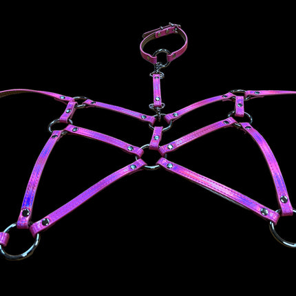 XH202 HOLOGRAPHIC