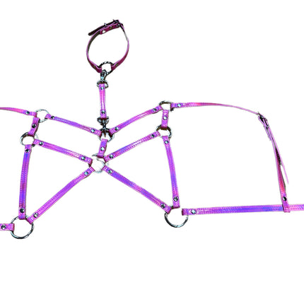 XH202 HOLOGRAPHIC